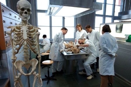 medical school