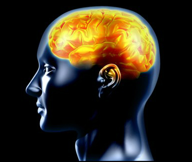 3D brain view may help treat Alzheimer's Parkinson's