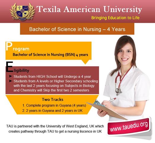 Nursing Bachelors Programs Ny