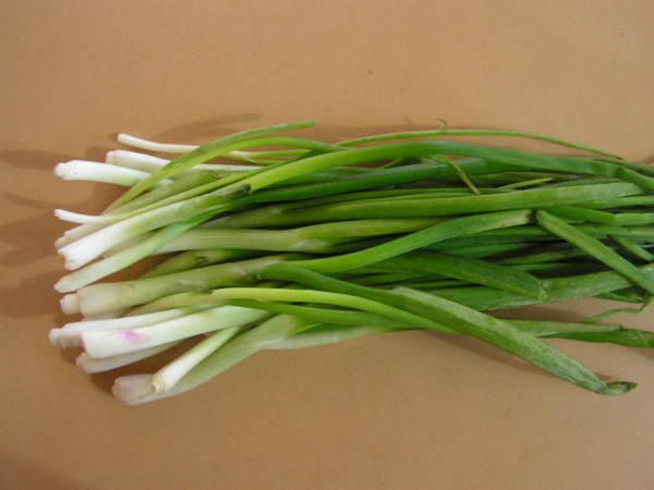 spring-onions3