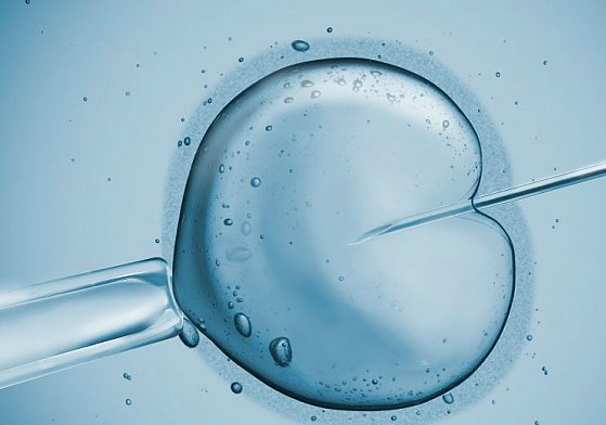 New method for stimulating ovulation may make IVF safer study says
