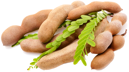 Image result for images of tamarind and heart