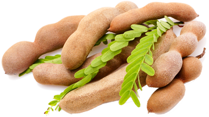 Tamarind: The best fruit you’re not eating – Texila Connect