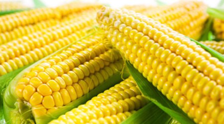 Four myths about corn you should stop believing